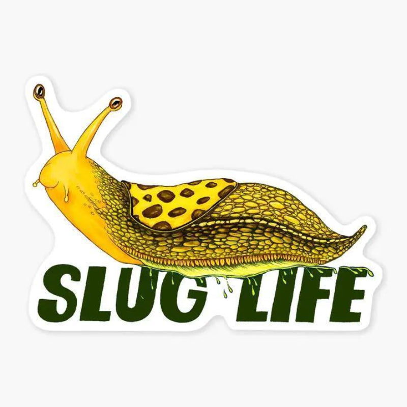 Nice Enough Sticker Banana Slug 3" Art Sticker