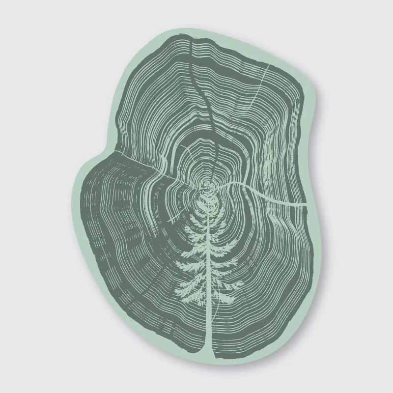 Pike Street Press Tree In Tree Sticker | 2.9" x 3.9" 
