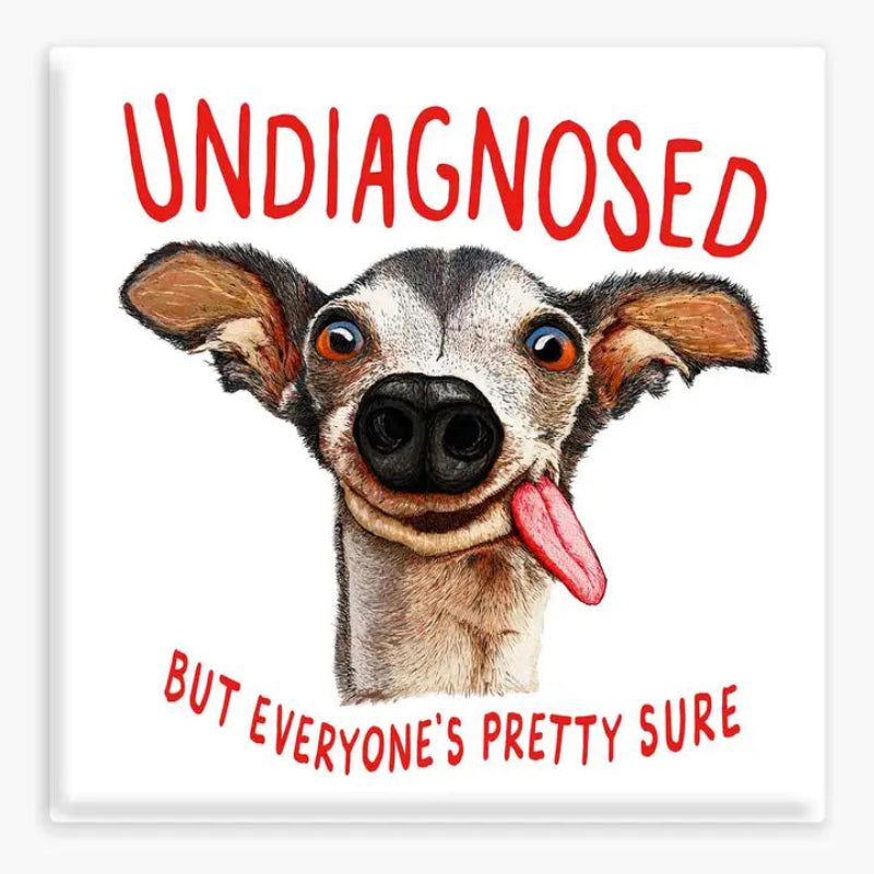 Nice Enough Sticker Undiagnosed Magnet