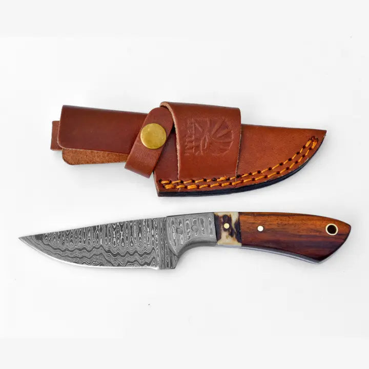 Titan International Damascus Steel Timberline Stag Horn EDC Knife