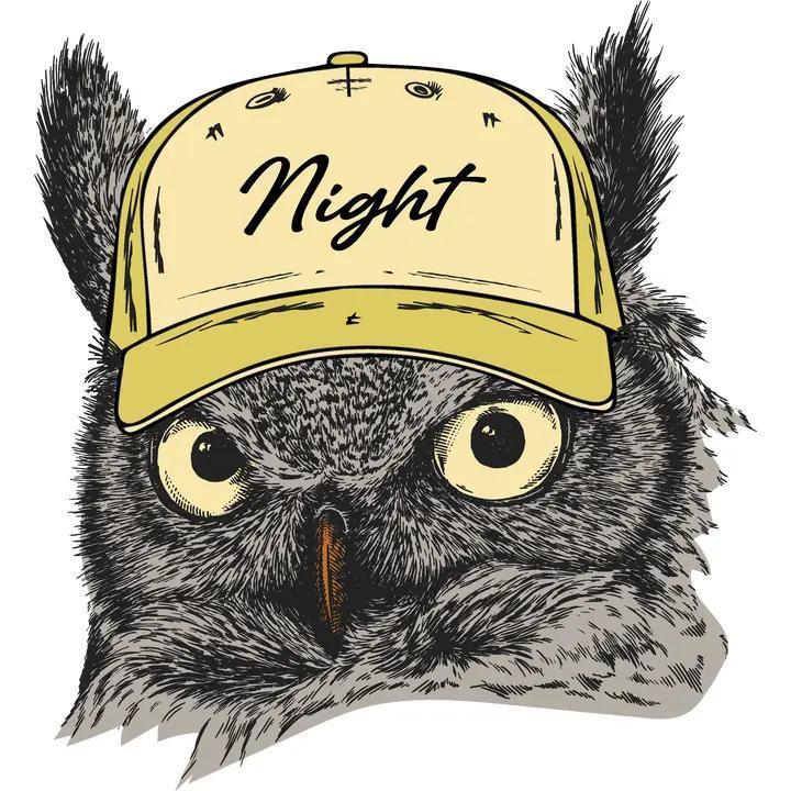 Night Owl Decal