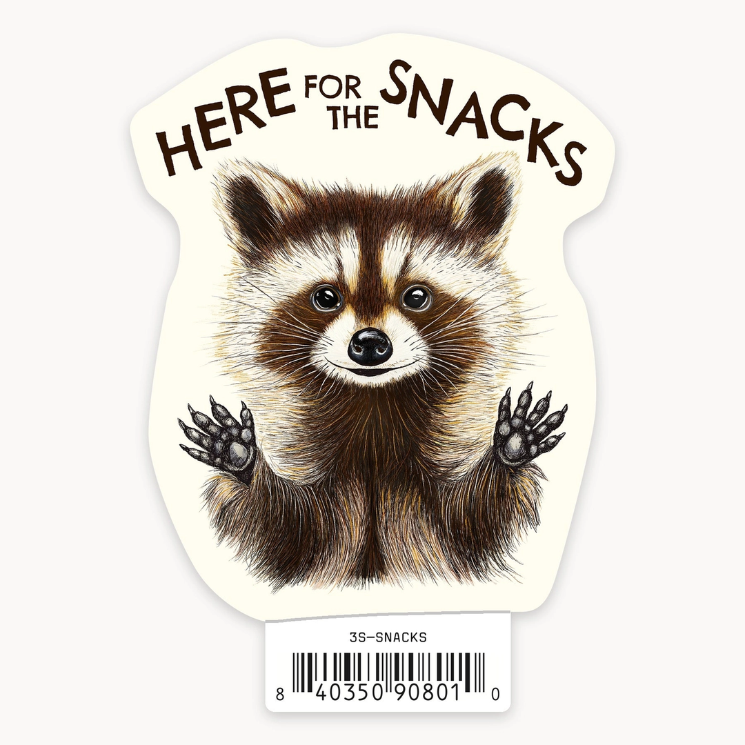Raccoon Snacks 3" Art Sticker