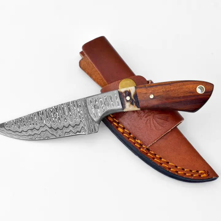 Titan International Damascus Steel Timberline Stag Horn EDC Knife