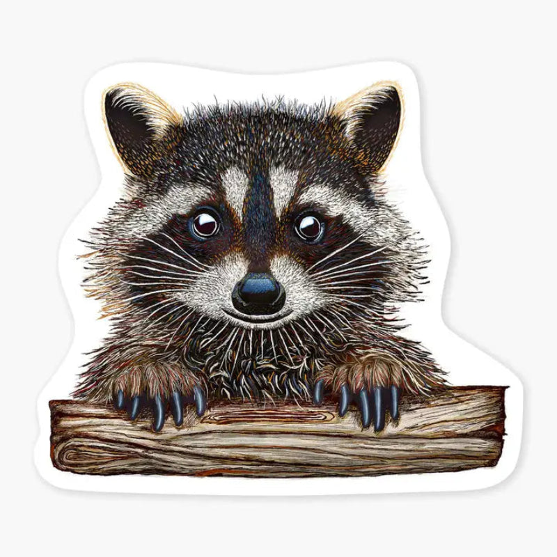 Nice Enough Sticker Rocky the Raccoon 3" Art Sticker