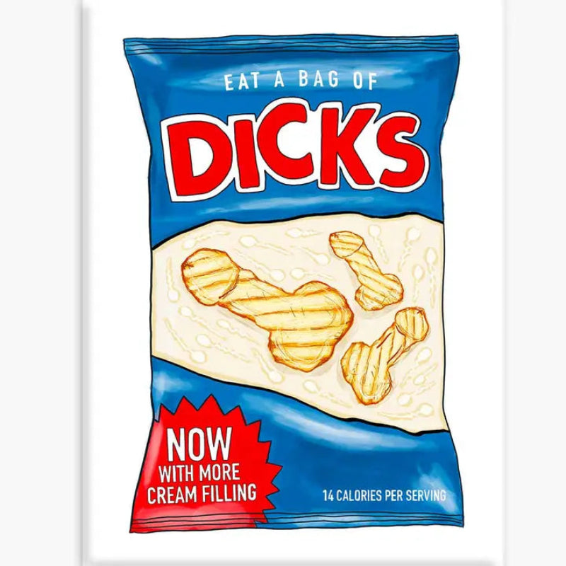 Nice Enough Sticker Bag of Dicks Magnet