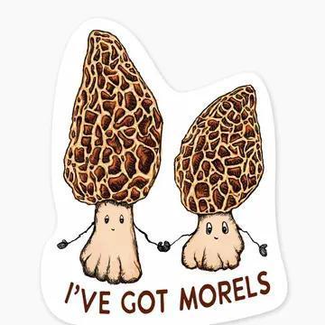 Morels 3" Art Sticker