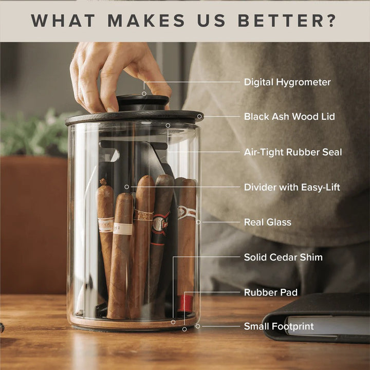 Cylinder Humidor - Glass Jar &amp; Ashwood Lid