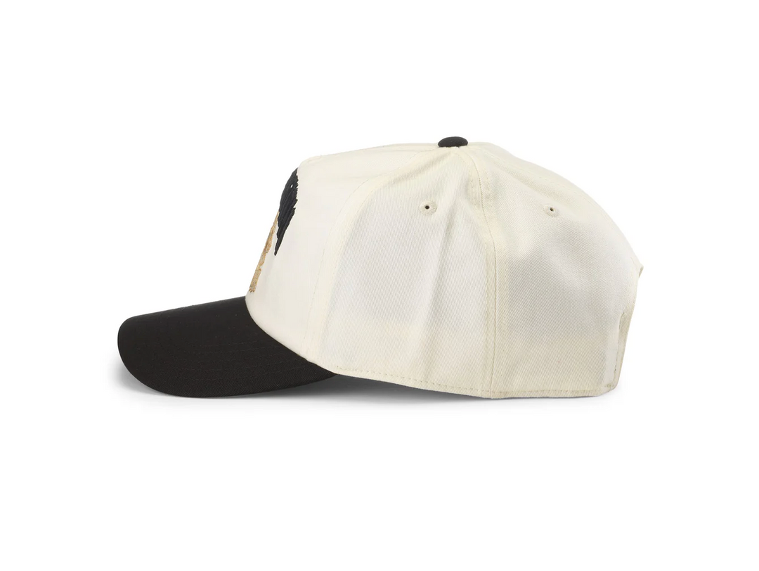 American Needle - Liquid Death Twill Roscoe Hat
