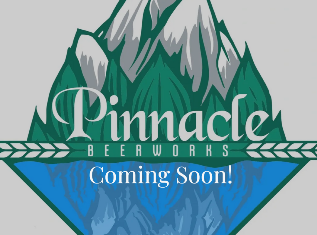 Pinnacle Brewery - Pog Tartburst Tart Ale - 16 oz.