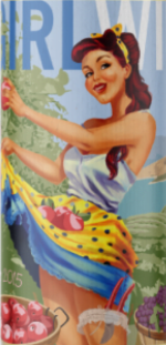 Wine Girl Agave Cider